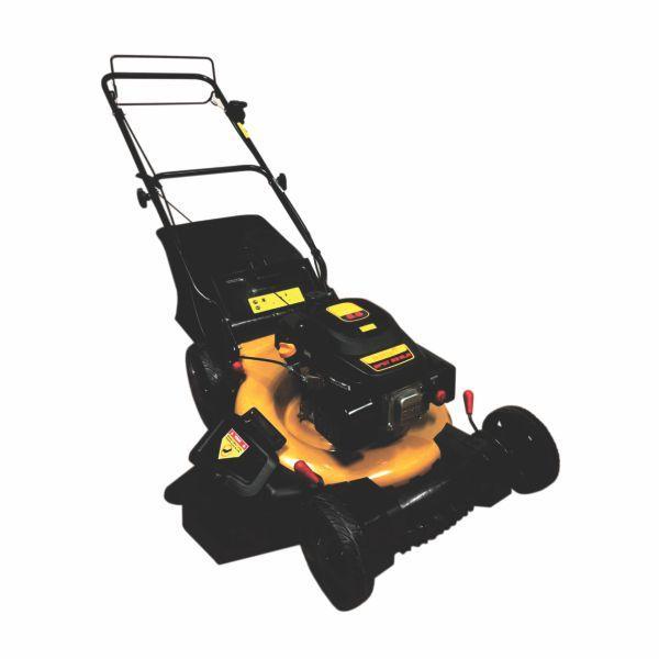 CORTADOR DE GRAMA BFG 53SLR